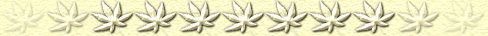 footer